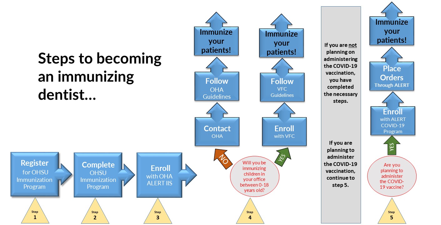 Steps to becoming an immunizing dentist flowchart