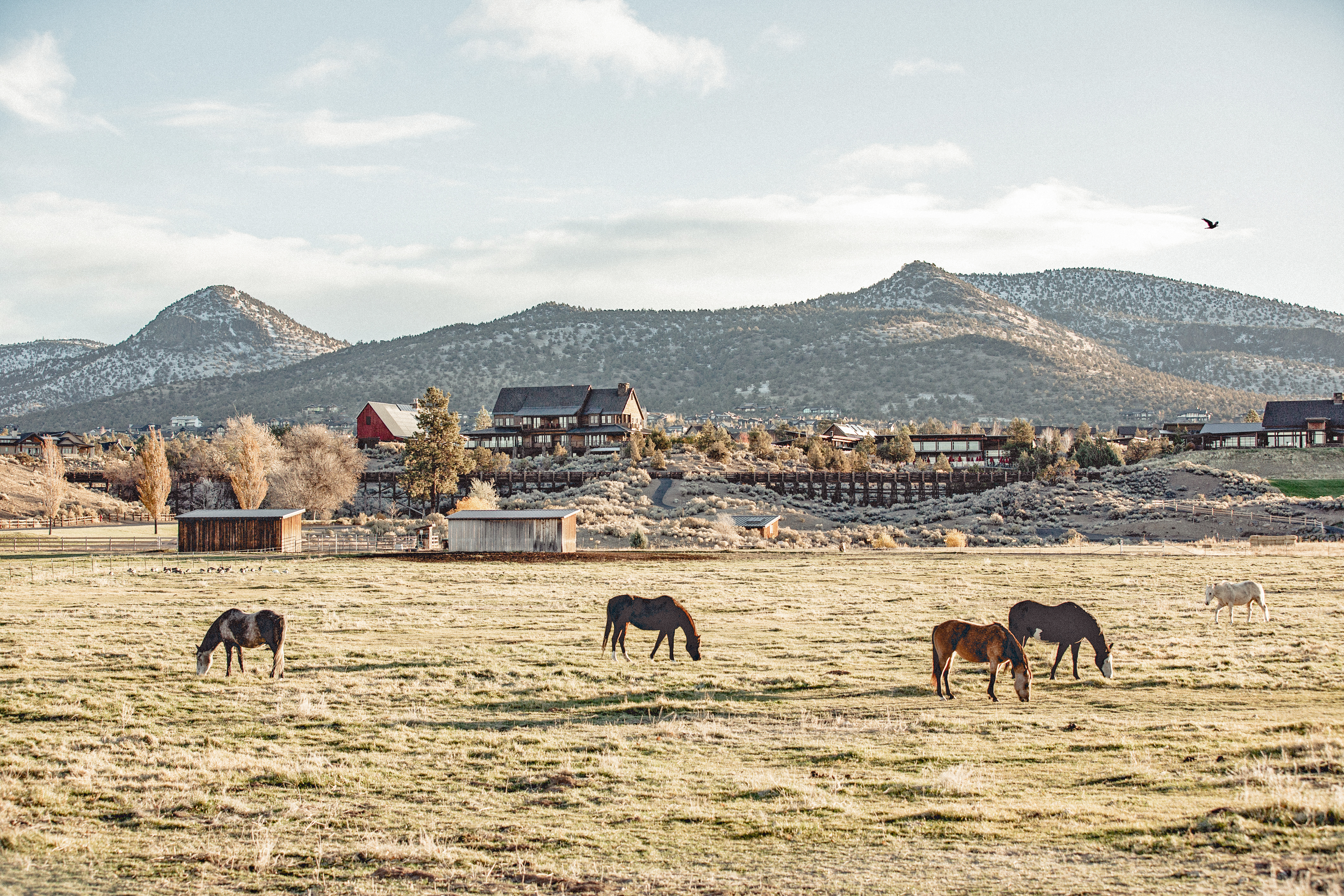 BrasadaRanch1 Brasada Horses